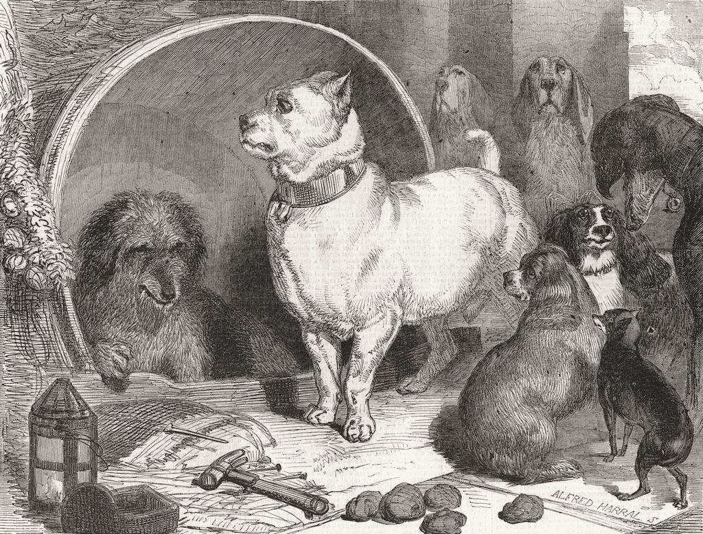 DOGS. Alexander and Diogenes 1848 old antique vintage print picture